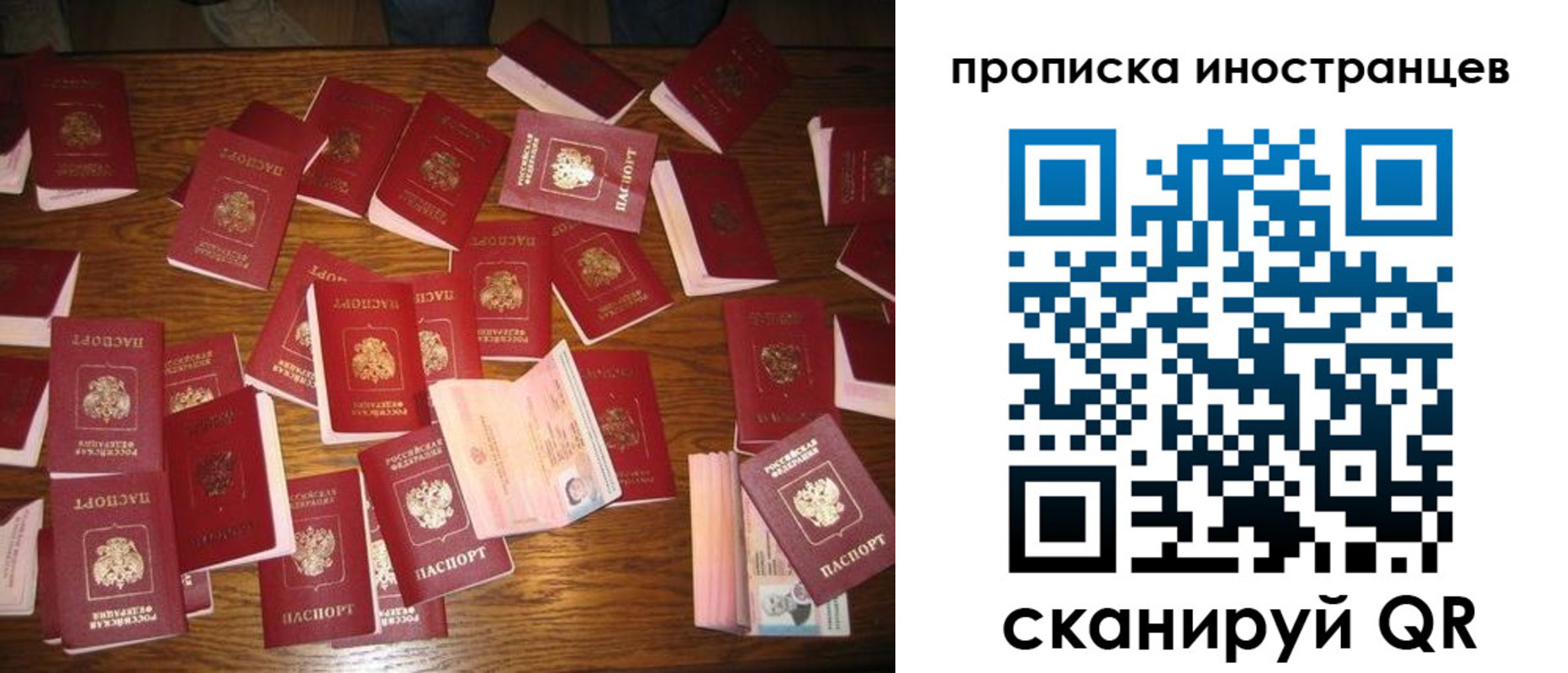 найти адрес прописки в Бородино